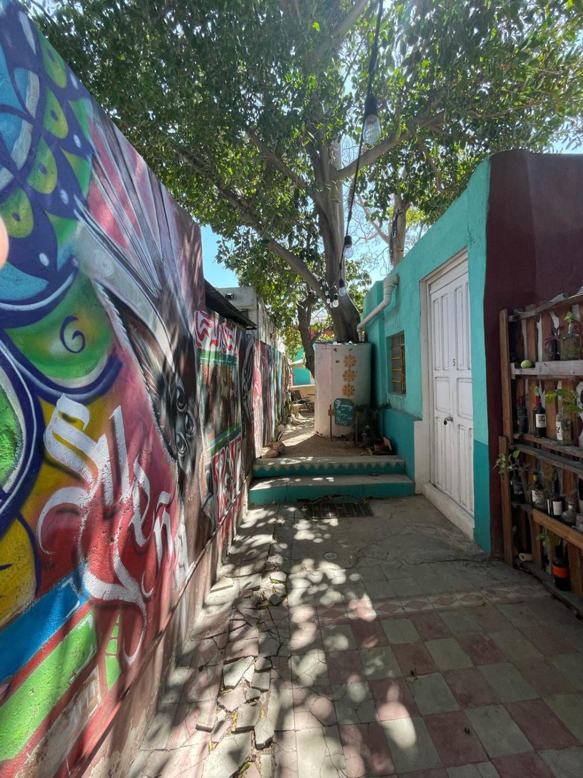 La Casa Del Keej Hostel 梅里达 外观 照片
