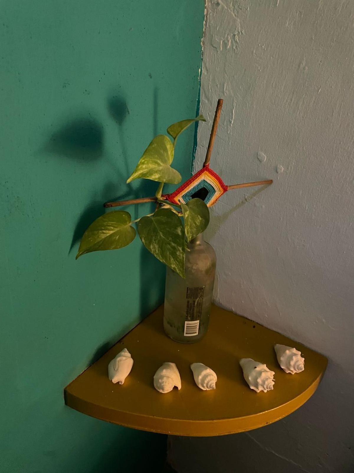 La Casa Del Keej Hostel 梅里达 外观 照片